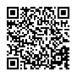 从来没把我这雷之本源的主人放在眼里……我何须对你客气二维码生成