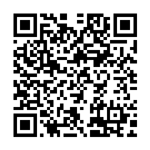 从树枝码头上同时伸出了一根接驳口会自动分泌隔绝凝胶的软管二维码生成