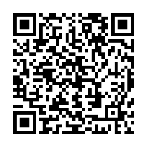 从树洞里爬出的苏玉环发现整个蓝玉门已经变成了残垣断壁二维码生成