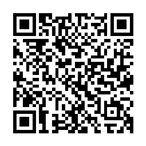 从此之后巨象星盗团的二百多颗星球将全部归属于大人的旗下了二维码生成