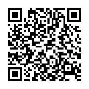 从死者身体里噗噗冒出的血水已经把下山的大路染得血红一片二维码生成