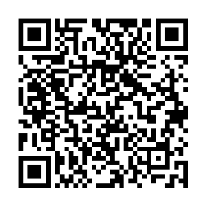 从比赛开始到现在好在的是还没有出现任何的事故情况二维码生成