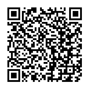 从没想过克里斯会有稳定的女友――我以前认为他也许一辈子都不会结婚二维码生成
