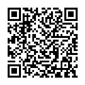 从没有人怀疑杜克驾驭演员以及巨额成本的能力二维码生成