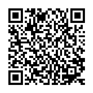 从玛丽刚才反常地一直在暗示她可以和别的男星发展这点上――二维码生成