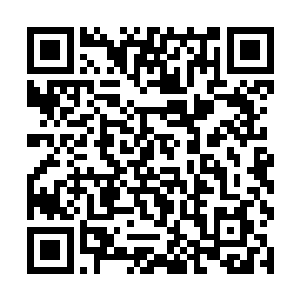 从玲珑仙塔里得到的宝匣还真可以隔绝云雷石的电流二维码生成