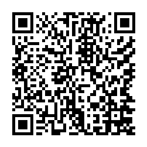 从皇家御用森林打猎回来的贡国国君燕浩果然笑容满面地来齐心馆喝茶二维码生成
