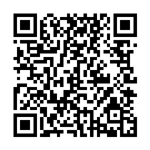从空间腰带中拿出几枚黑漆漆令箭毕恭毕敬的放到老者身前二维码生成