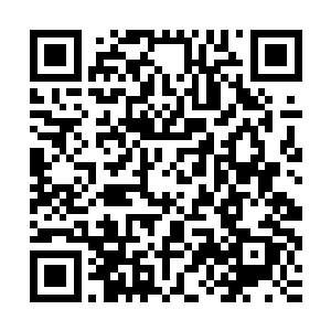 从练气期到大乘期在到仙帝期的各种符箓傀儡法器制造全部都有二维码生成