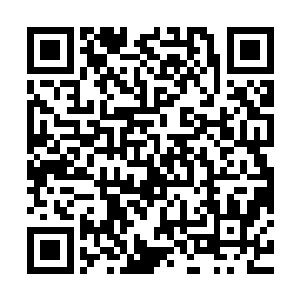 从网络上的赌术界信息之中却根本找不到与江少游的一丝线索来二维码生成