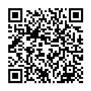 从而把角色本身有些稍过的冰冷残忍感也给减弱了不少二维码生成