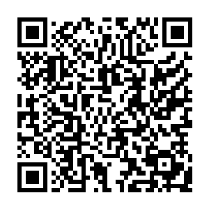 从自己的提包里取出一支怪模怪样带着倍数瞄准镜的sv99步枪警惕的张望周围二维码生成