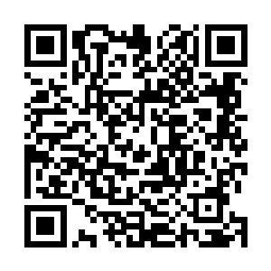 从至少上千张照片里会议起当时并不是很关注的一张照片二维码生成