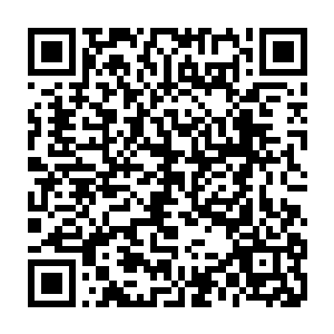 从萨米拉的手上截获了一批被阿比安大师用来制造全效药剂的黄金独角仙二维码生成