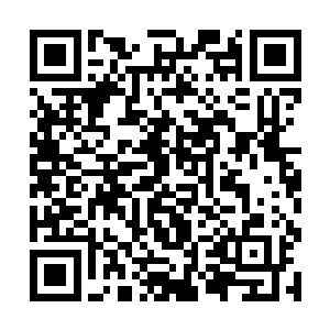 从血淋淋尸体直接被切割开或被咬嚼过的痕迹上分析二维码生成