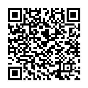 从表情里就看出来他们心中实际上已经相信张潇晗的话了二维码生成