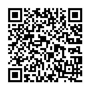 从袖子里拿出了一面和我的通讯仪差不多的巴掌圆盘二维码生成