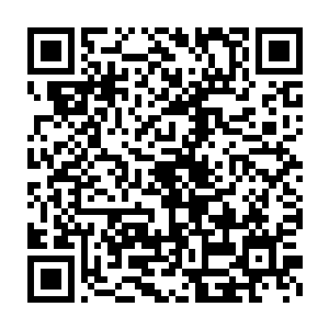 从身上撕下一块布条然后随意的包扎了一下被逆天用暗器打中的手掌二维码生成