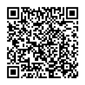 从这一点就可以看出北国神王和火甲帝他们在天阵大陆上代表的是什么了二维码生成