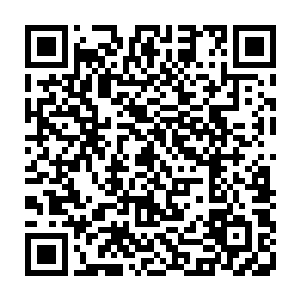 从这两具尸体身上散发出来的法则之力让得秦宇确定这两位生前也是仙王强者二维码生成