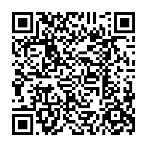 从这些狂信徒身上传递过来的虔诚和信力令得浑身上下一下子就被点燃了似的二维码生成