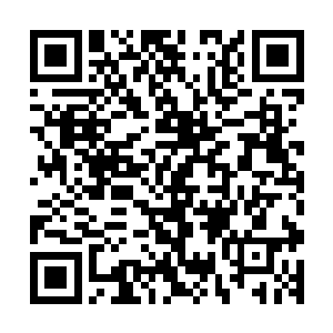从这里能看到基地里已经有无数全副装备的异能者在飞速行动二维码生成