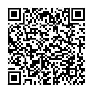 从那么丁点大不会说话不会走路的样子变成了如今牙牙学语的模样二维码生成