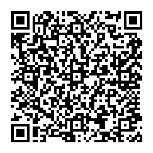 从野狼城堡出发的一队执勤试炼生追上了那些正准备去捕猎金狼和采摘鹅颈草的雄狮社的牲口们二维码生成
