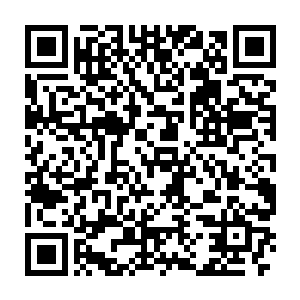 从随身携带的公文包里取出一个文件夹放在秦秘书和张主任的面前二维码生成