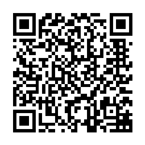 从顾曼柔的通讯器中传来了之前派出去在山上寻找的人的声音二维码生成