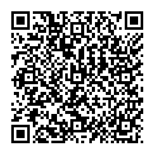从CG的情节和目前为止所知的信息来推测……安德烈博士必然是在后来两次实验中出了什么事儿了二维码生成