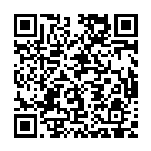 仓促启动的防御仍是挡住了血腥曼陀罗和幻之曼殊沙华的攻击二维码生成