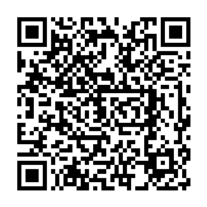 仔细想想自己那个时候支持自己继续留下来的理由和逻辑思维是什么呢二维码生成