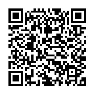仔细白打量了一两笼子里的两只小狗之后又对着贝海问起了问题二维码生成