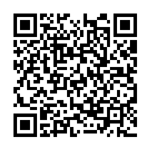 他……他……他是……蛟……蛟……蛟……蛟……二维码生成