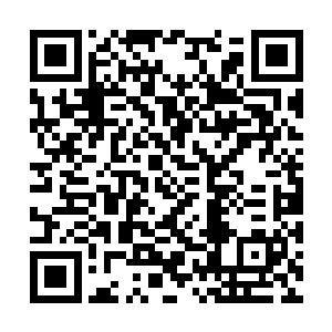 他一介凡人怎生抵挡得住这一头恶兽不要命的撞击二维码生成