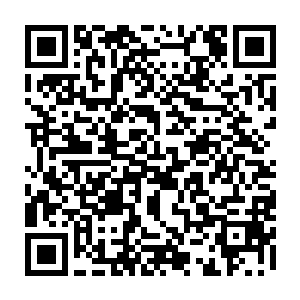他一位堂堂地仙五重天的接引使者竟然还奈何不了一位地仙一重天的小家伙二维码生成