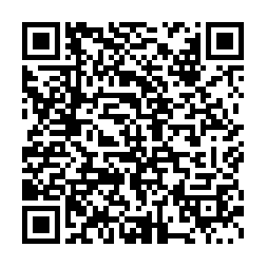 他一动用这两个护卫就代表他已经下定决心要对夏天和十三出手了二维码生成