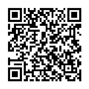 他一度怀疑肖景容是墨家私生子的事情就是他们母子传出去的二维码生成