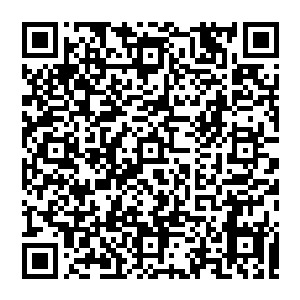 他一手控制几颗金丹　一手控制神秘的珠子　光芒一闪　顿时将其吸入　同时月光注下　瞬间化作一颗红色的血丹二维码生成