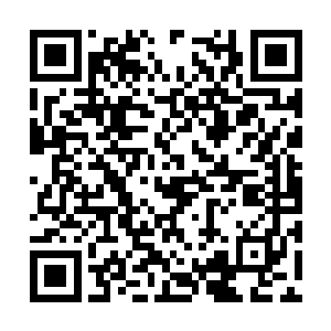 他一枪朝已经连滚带爬到了门口的斯蒂芬打了过去二维码生成