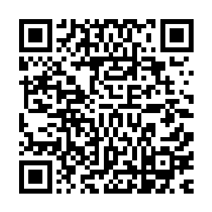 他一直以为小白是只宠物啊啊啊啊……虽然小白的确是只宠物二维码生成