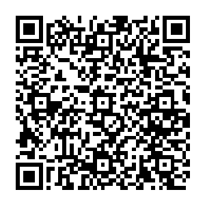 他万万没有想到在他眼中本因该是一位世家公子的青年竟然会散发出如此庞大的杀意二维码生成