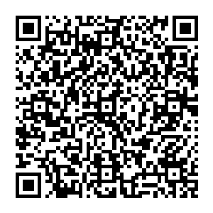 他下意识地挥了挥手――那属于少年人的手――不多的魔力开始回馈这一简单动作中所蕴含的讯息二维码生成