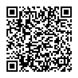 他不介意以棠溪剑仙而非卢氏子弟的身份再来一次大逆不道的举动二维码生成