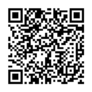 他不会为了这样一个残缺的秘术而浪费自己的时间和生命的……二维码生成
