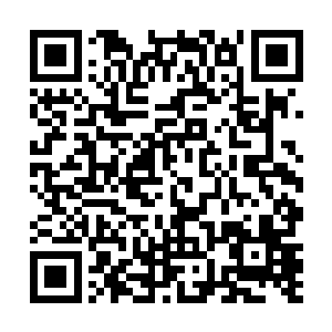 他不会是故意骗这两个冲动的家伙去验证他的猜测罢了二维码生成