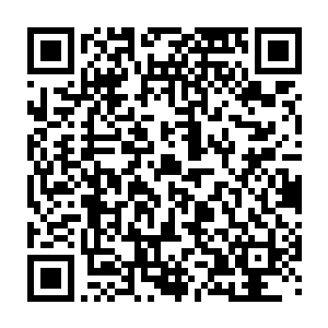 他不但将自己的一切证件包括学生证跟护照在内全部将签名改成自己的丁丁二维码生成
