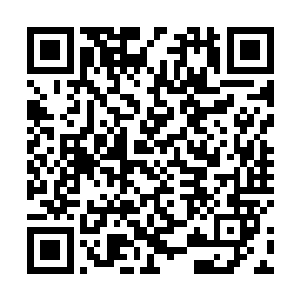 他不回答林小乖也只当他和自己一样狠不下心拒绝儿子二维码生成