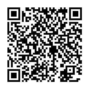 他不就是感觉到徐清尘那个狡猾的家伙靠不住说不定什么时候就开溜了二维码生成